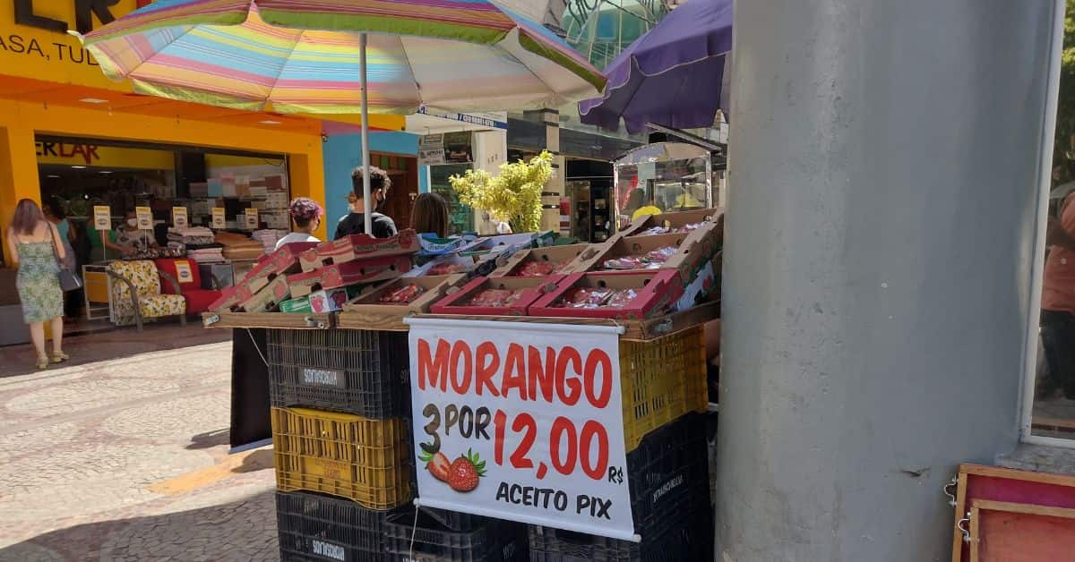 ambulantes formalizados como MEI atuando em centro urbano