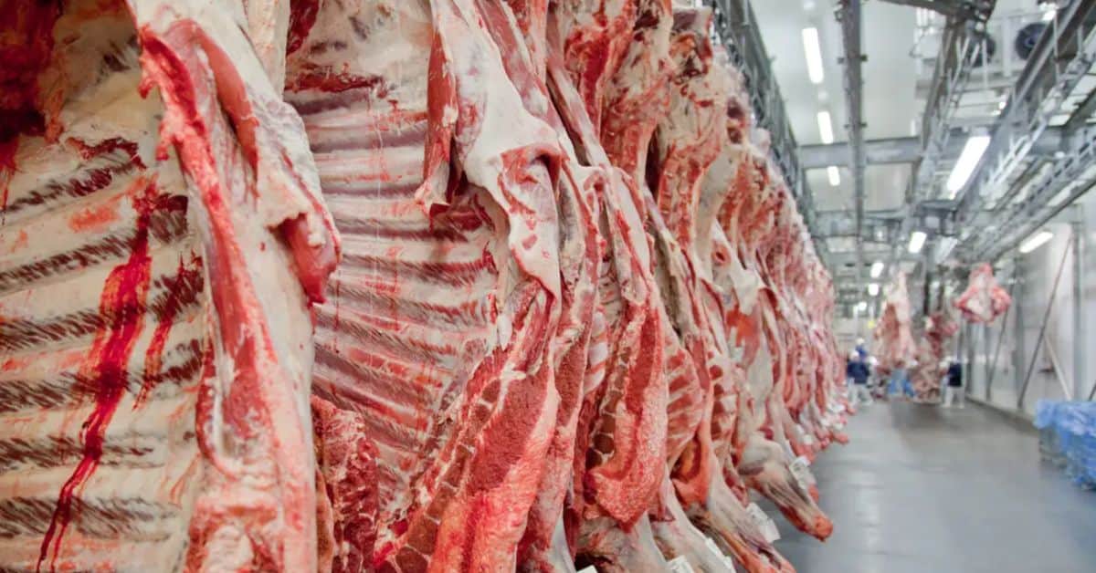 exportação de carne para China após limite de 1,1 milhão de toneladas